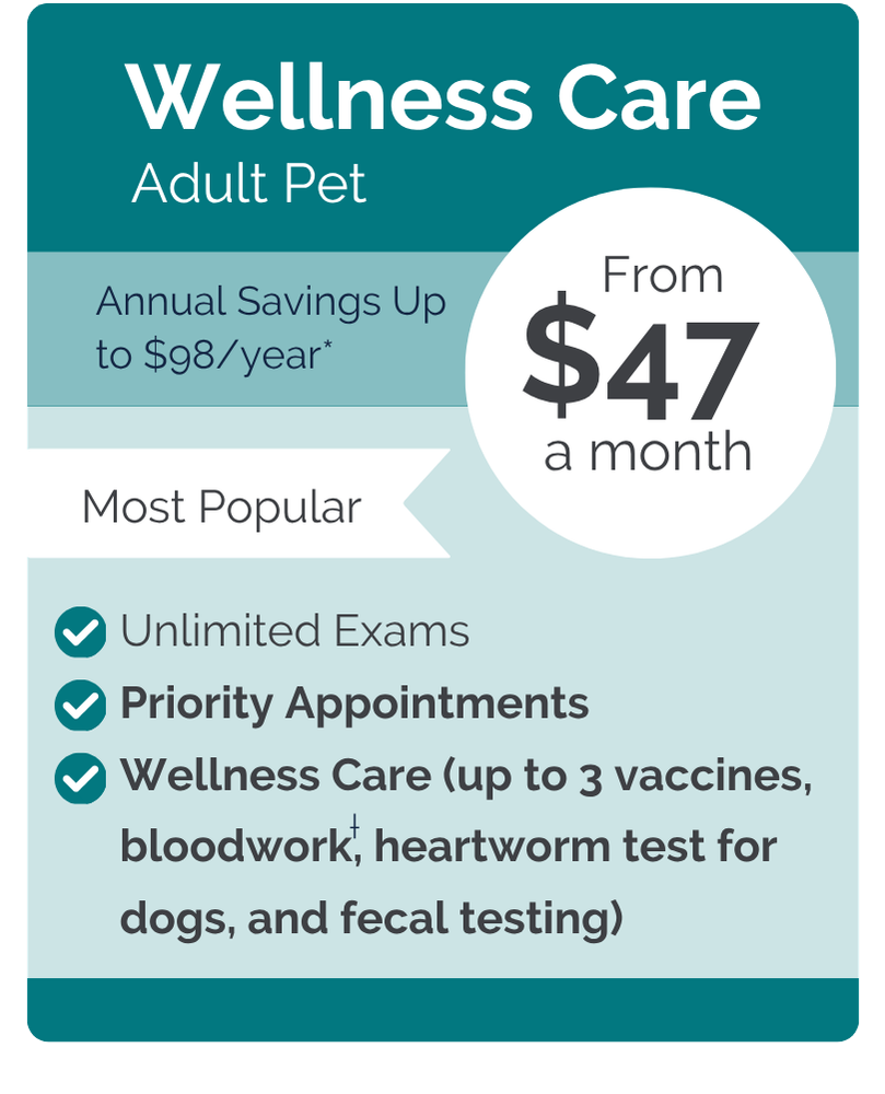 OConnor VIPet Plan_pricing_Wellness_Modern